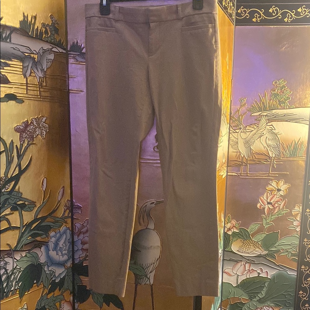 Tan Slim Fit Banana Republic ‘Sloan’ Trousers